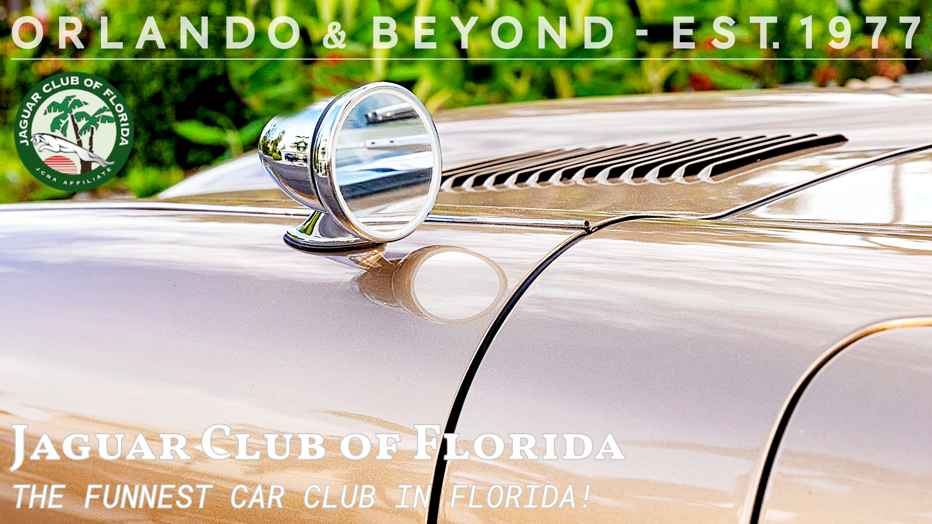 Jaguar Club of Florida